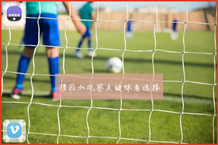 穆因加观察关键球看选择