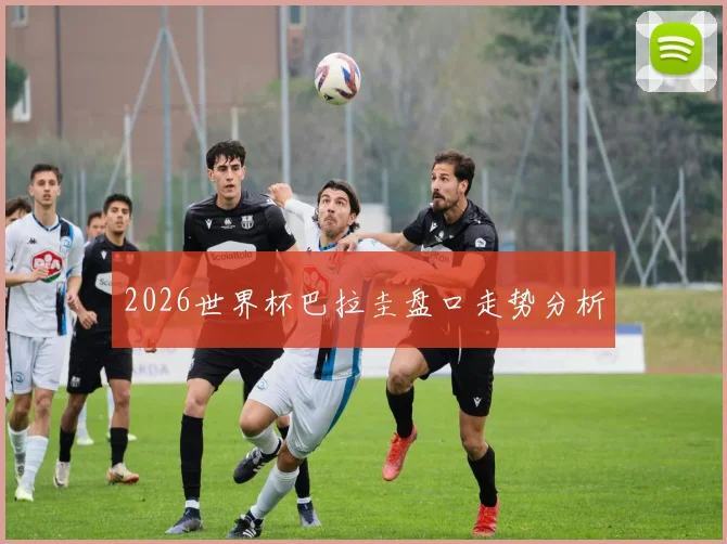 2026世界杯巴拉圭盘口走势分析