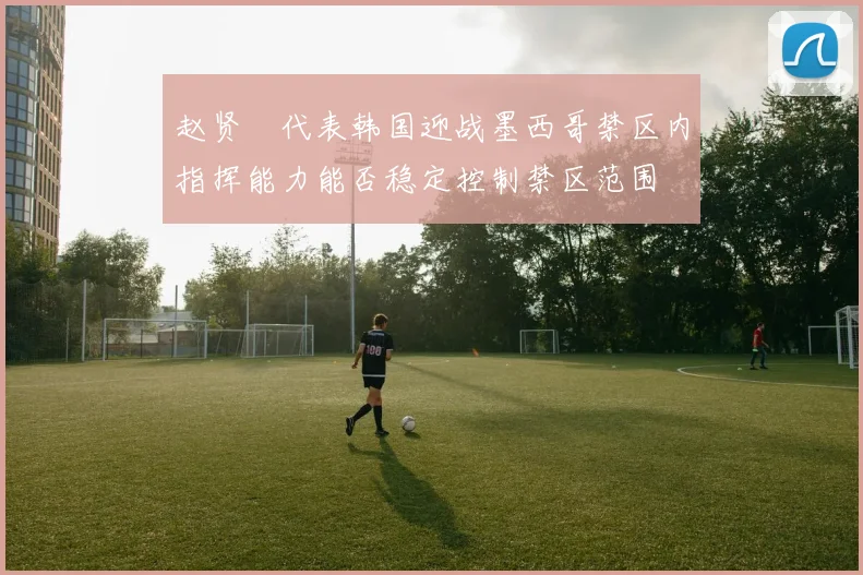 赵贤祐代表韩国迎战墨西哥禁区内指挥能力能否稳定控制禁区范围